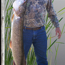 Ontario Walleye Fishing