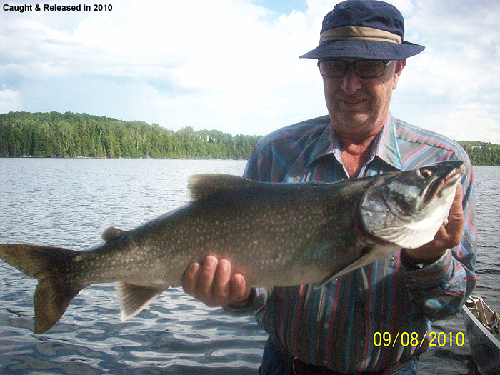 Chapleau Lake Trout Fishing