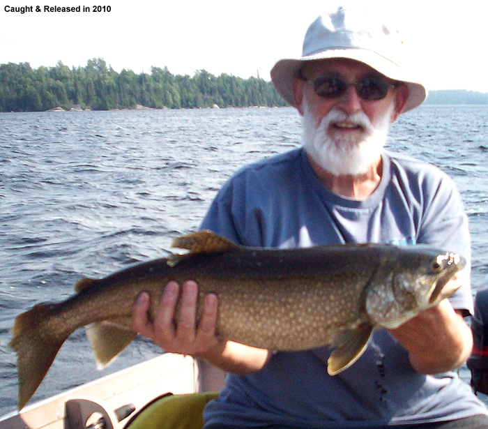 Chapleau Lake Trout Fishing