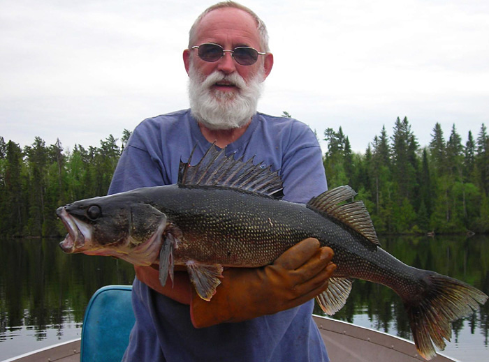 Chapleau Walleye Fishing