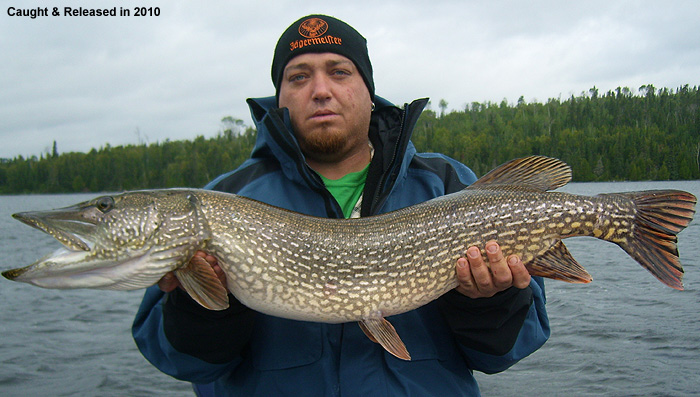 Chapleau Northern Pike Fishing